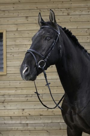 RIDING WORLD - Bridon muserolle combinée Noir