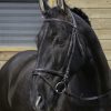 RIDING WORLD - Bridon muserolle combinée Noir – Image 2