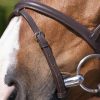 RIDING WORLD - Bridon muserolle combinée Havane – Image 2