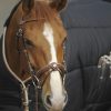 PENELOPE - Bridon "Point sellier" Havane – Image 3