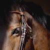 PENELOPE - Bridon "Point sellier" Havane – Image 2