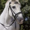 NORTON - Bridon cheval de trait Noir – Image 2