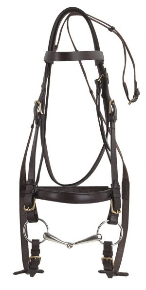 NORTON - Bridon cheval de trait Noir