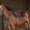 ERIC THOMAS - Collier de Chasse "Hybrid" – Image 4