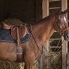ERIC THOMAS - Collier de Chasse "Hybrid" – Image 6