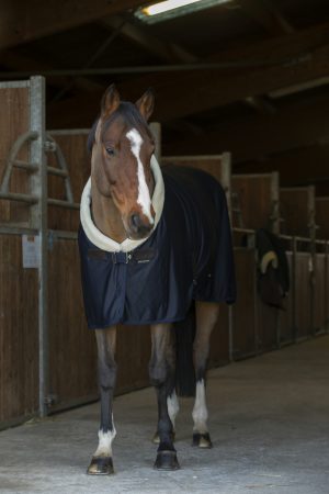 EQUITHEME - Chemise séchante "Teddy" Marine