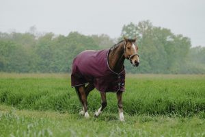 EQUITHEME - Couverture extérieure "Tyrex 1200D/150gr" Bordeaux