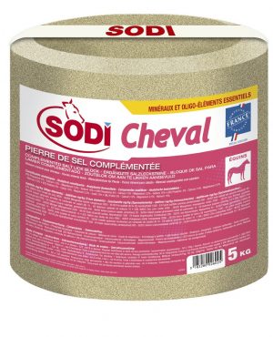 SODI - Pierre de sel complémentée