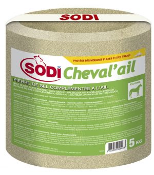 SODI - Pierre de sel à l'ail