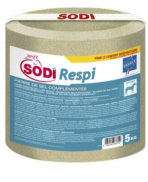 SODI -  Pierre de sel complémentée "Respi"