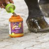 EQUINATURA - Huile pour sabots avec pinceau – Image 3