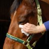 RAVENE - Lingettes nettoyantes "Easy Shine Wipe" – Image 2