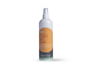 ALODIS CARE - Spray assainissant "Top Clean"