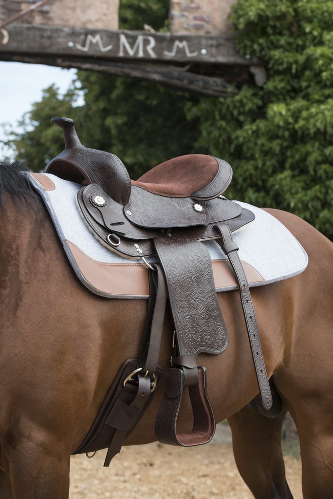 Westride WEST.TOPEKA 13" HAVANE – Image 2