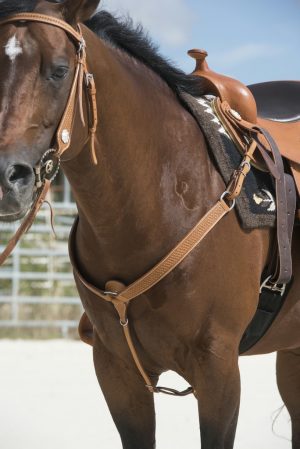 WESTRIDE - Collier de chasse "Aurora" Noisette