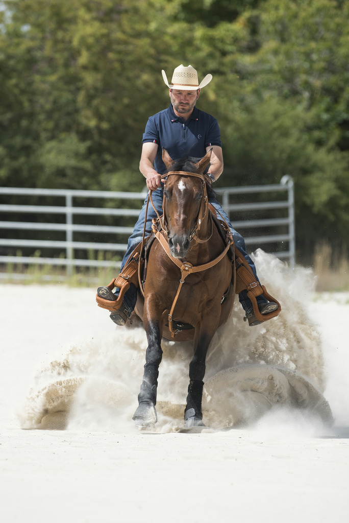 WESTRIDE - Collier de chasse "Aurora" Noisette – Image 2