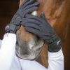 PÉNELOPE - Gants "Compétition" Noir – Image 2