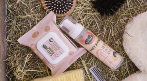 RAVENE - Lingettes nettoyantes "Easy Shine Wipe"