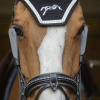 PENELOPE - Œillères "BLINKERS" – Image 2