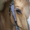 PENELOPE - Œillères "BLINKERS" – Image 3