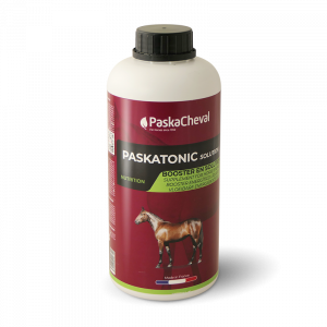 PASKACHEVAL - Paskatonic Solution