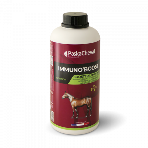 PASKACHEVAL - Immuno'Boost 1L