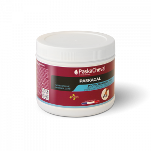 PASKACHEVAL - Paskagal