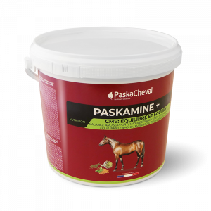 PASKACHEVAL - Paskamine +