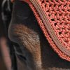 GEM - Bonnet "Sonny" CH. – Image 2