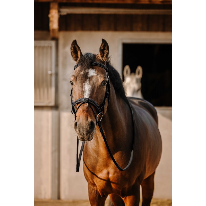 ERIC THOMAS - Bridon "Work" Noir – Image 3