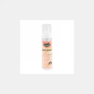 RAVENE - Easy Shine Mousse détachante