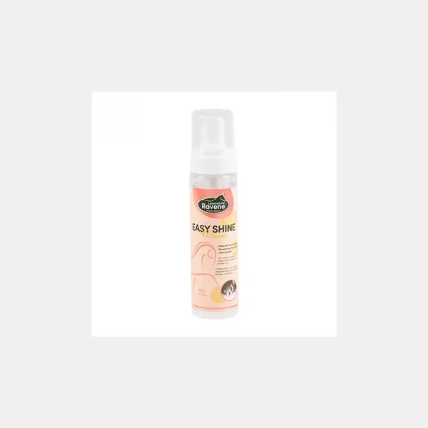 RAVENE - Easy Shine Mousse détachante