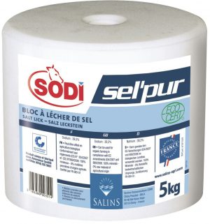 SODI -  Pierre de sel pur