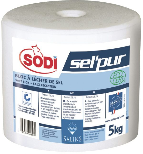 SODI -  Pierre de sel pur