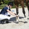 EQUITHEME - Polo de Concours "Valence" Marine – Image 5