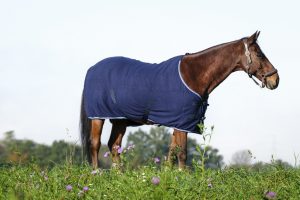 RIDING WORLD - Chemise Polaire Sursangles croisées Marine