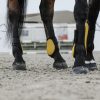 EQUITHEME - Protège Boulets "TARA" – Image 2