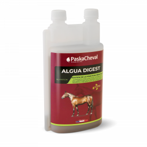 PASKACHEVAL - Algua Digest