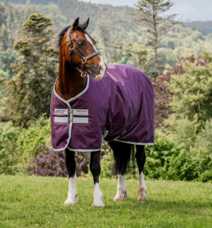 HORSEWARE AMIGO - Couverture d'Extérieur "Hero Ripstop"  600D/200gr