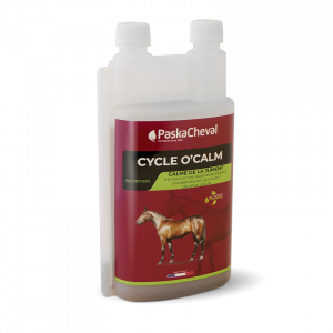 PASKACHEVAL - Cycle O'Calm