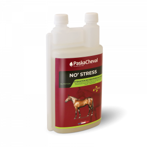 PASKACHEVAL - No'Stress