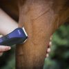 WAHL - Tondeuse de Finition "ADMIRE" – Image 3