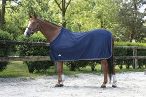 EQUITHEME - Chemise séchante "Microfleece" Standard