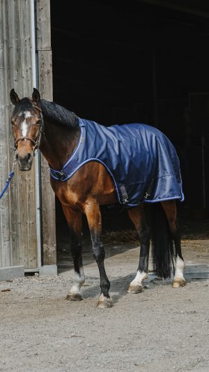 EQUITHEME - Chemise Marcheur "Classic 1200D" 6'9