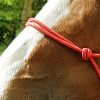 RIDING WORLD - Licol Ethologique Corde "Fin" Rouge – Image 2