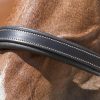 NORTON - Licol Cuir "Grooming" – Image 5