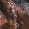 NORTON - Licol Cuir "Grooming" – Image 3