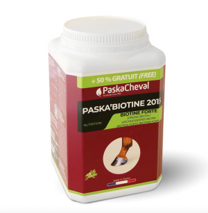 PASKACHEVAL - Paska'Biotine