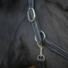 PENELOPE - Licol Cuir "Point Sellier" – Image 5