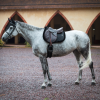 GEM - Tapis de Selle "Winter" – Image 3